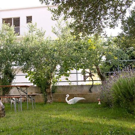 Pepi Apartments 1 Zadar Bagian luar foto